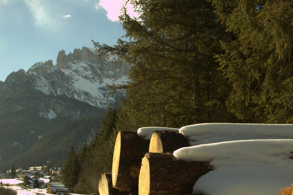 Appartamento Niki Campitello Campitello di Fassa Exterior photo