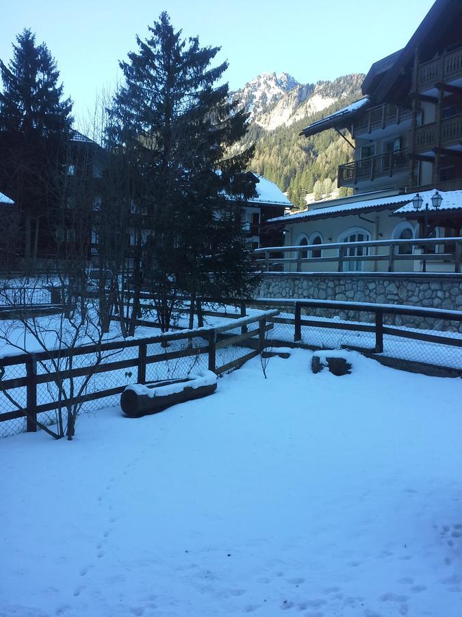Appartamento Niki Campitello Campitello di Fassa Exterior photo